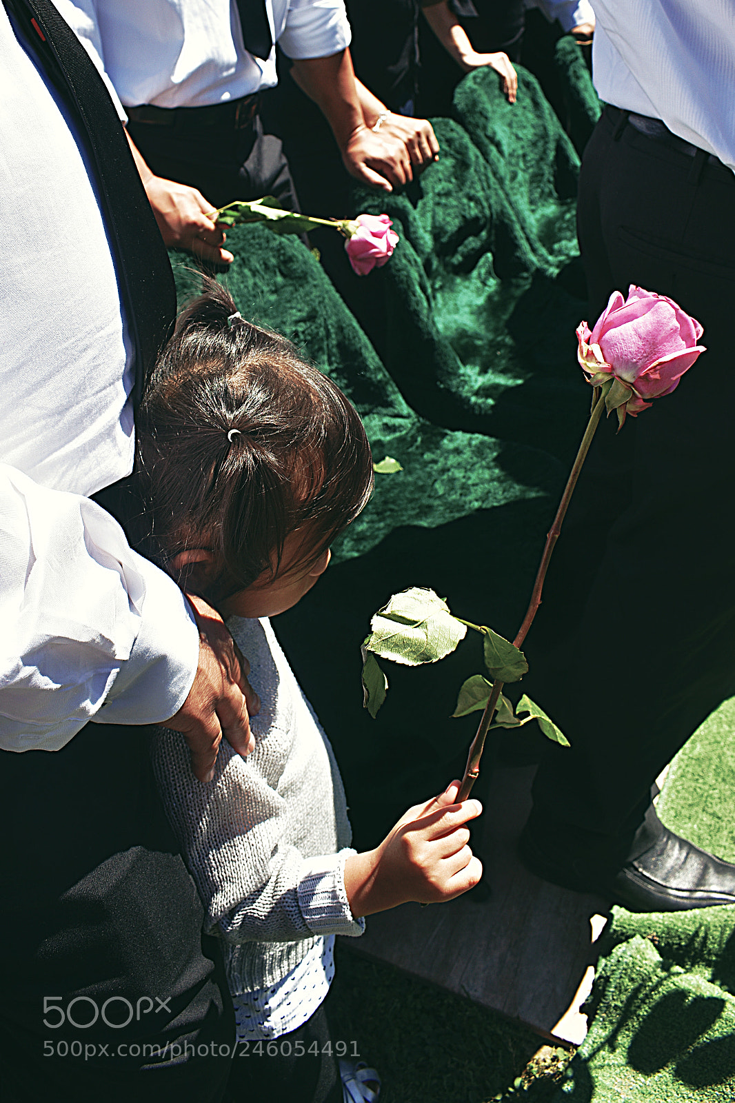 Nikon D3400 sample photo. Girl with a rose photography