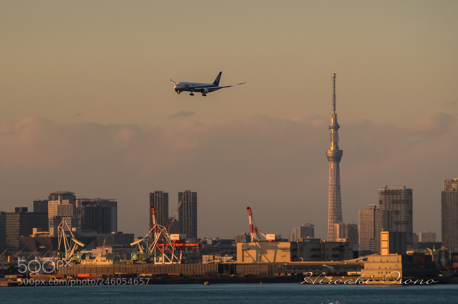 Pentax KP sample photo. Dusk of tokyo photography