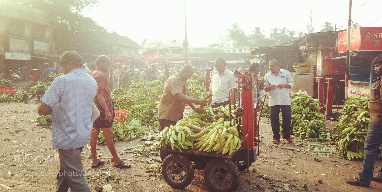 vivo 1601 sample photo. Life struggle photography