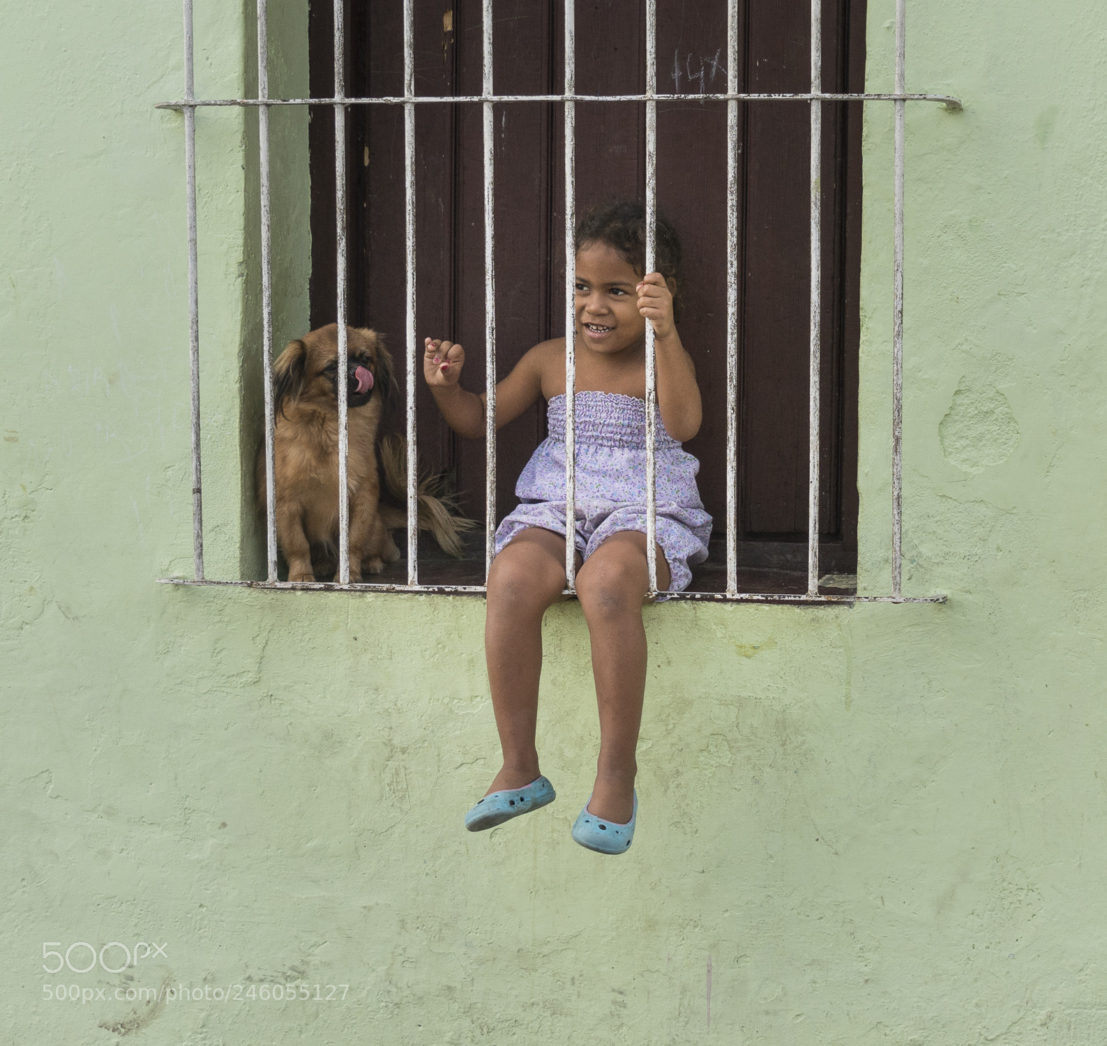 Sony a7R II sample photo. Behind bars photography