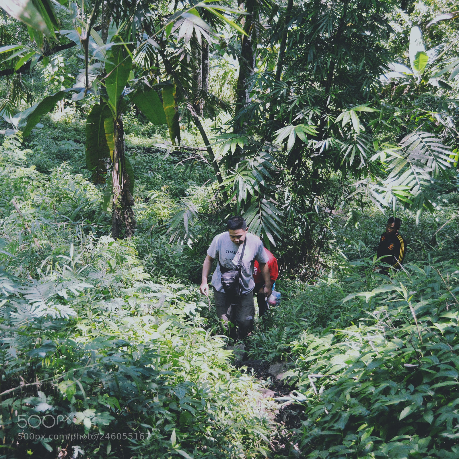 Nikon D3200 sample photo. The explorers photography