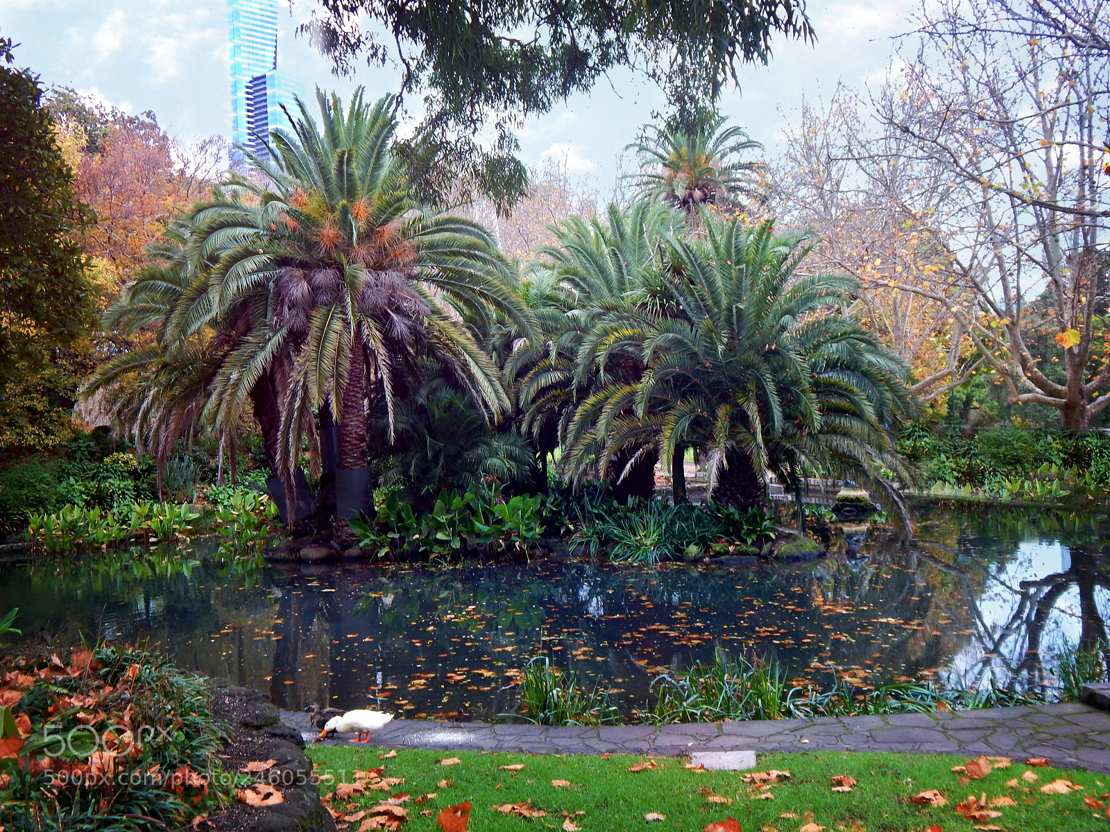 Nikon Coolpix L830 sample photo. Melbourne park photography