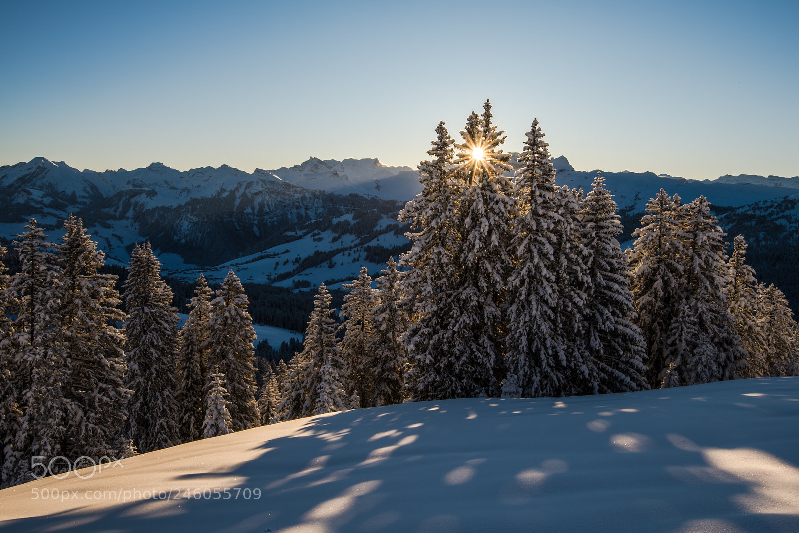Nikon D810 sample photo. Morningstar photography