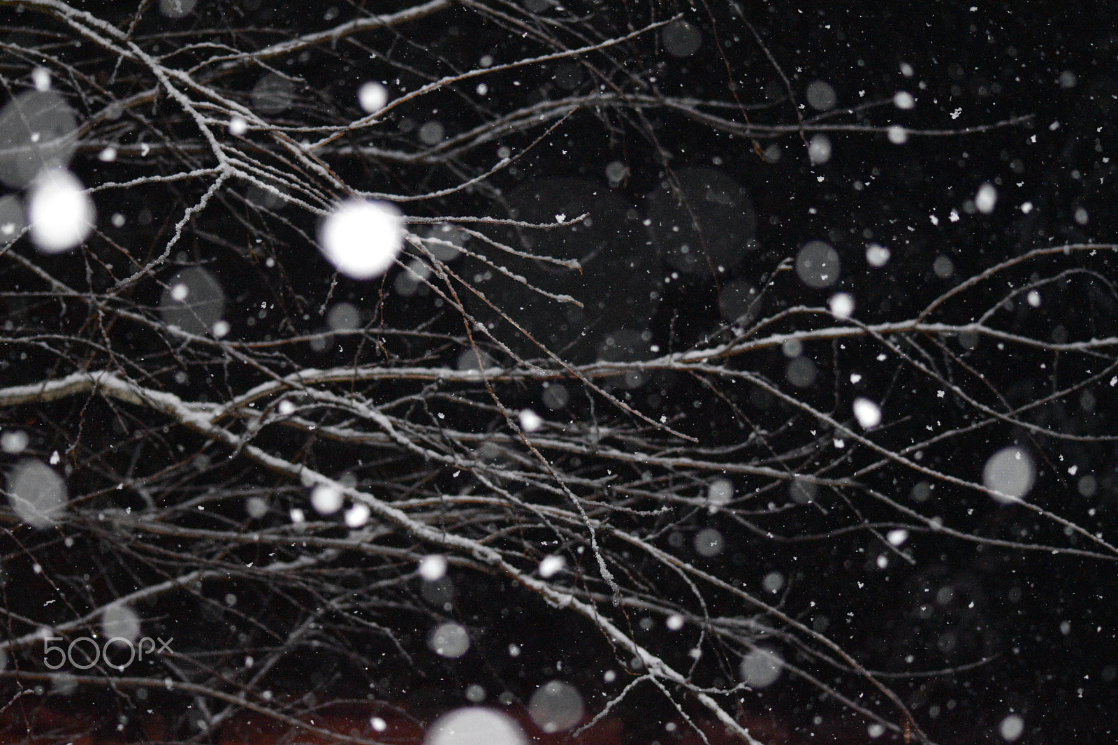 Nikon D5600 + Sigma 70-300mm F4-5.6 APO DG Macro sample photo. Snowy night blur photography
