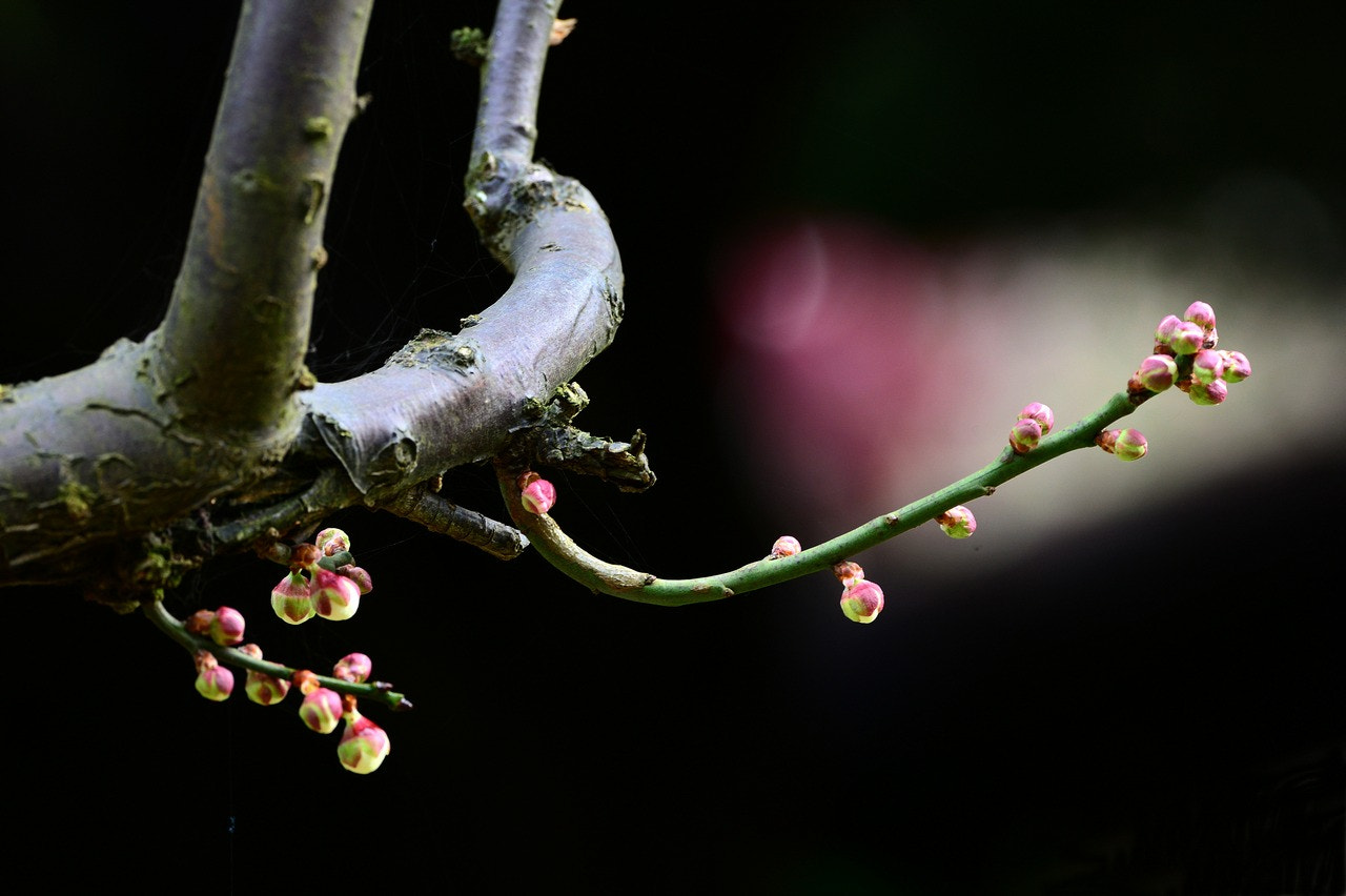 Nikon D800 sample photo