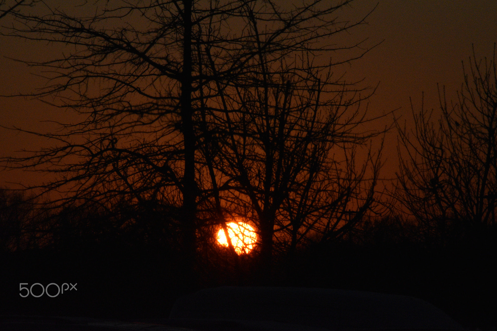 Sigma 70-300mm F4-5.6 APO DG Macro sample photo. Red ball setting photography