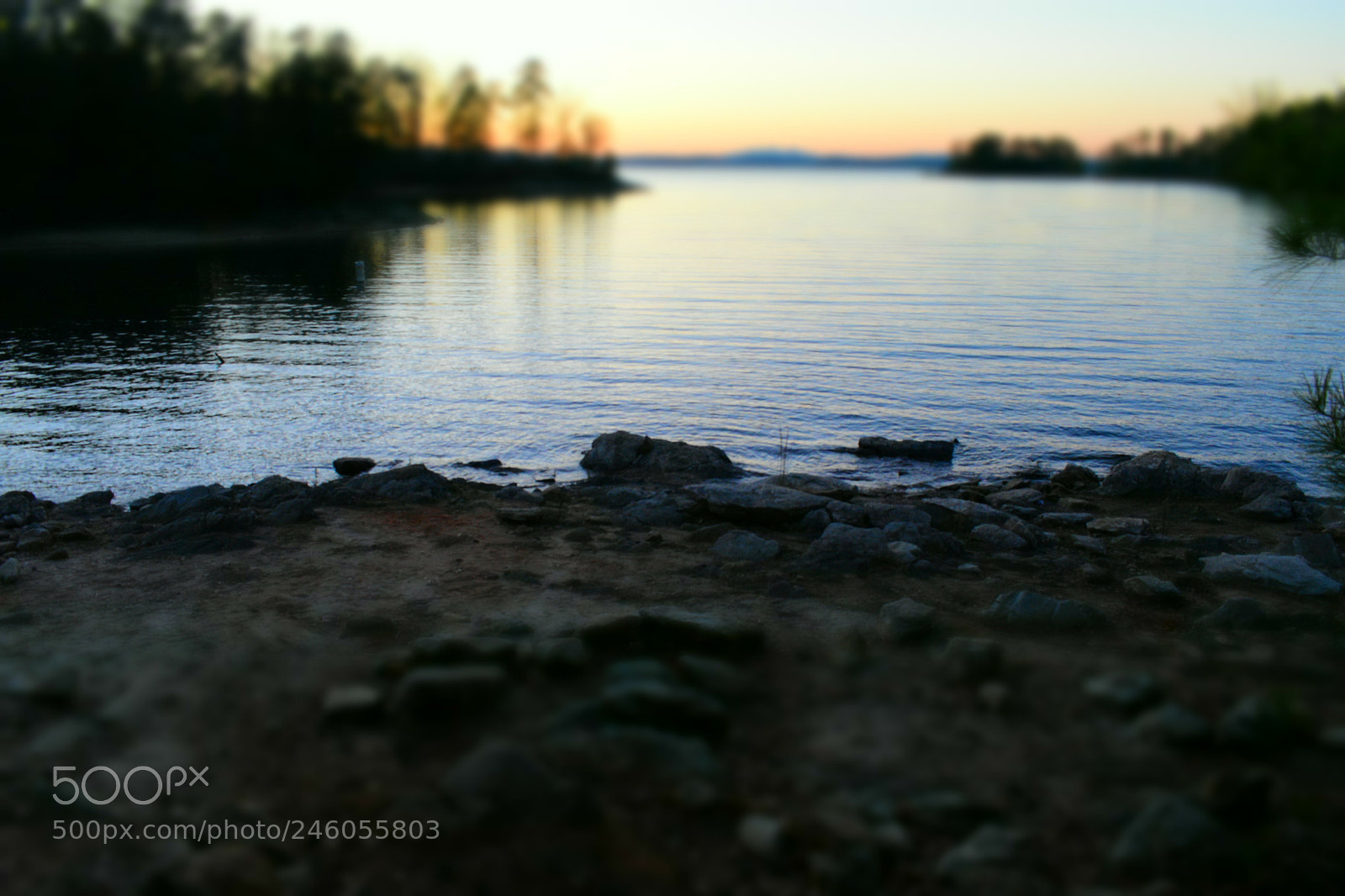 Nikon D5600 sample photo. Shoreline blur photography