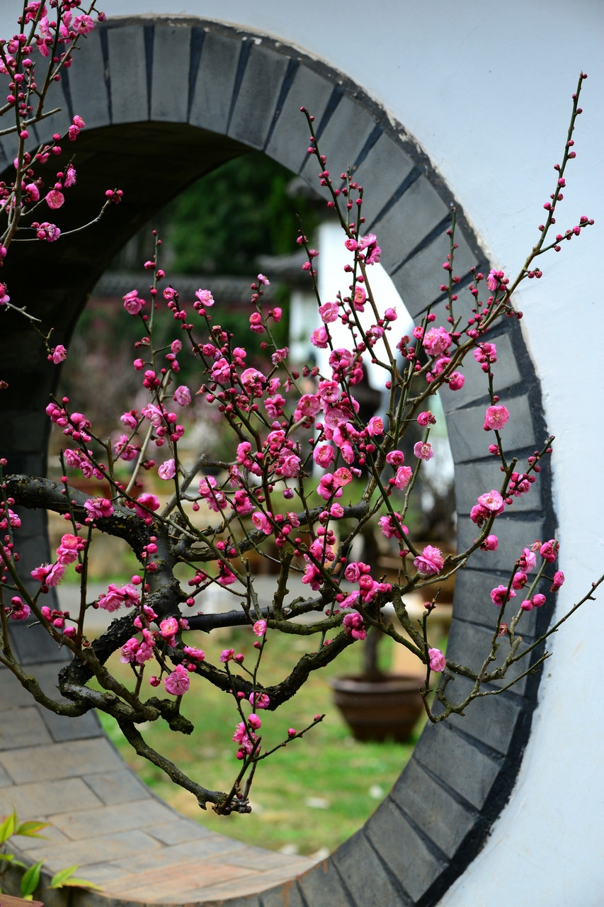 Nikon D800 sample photo