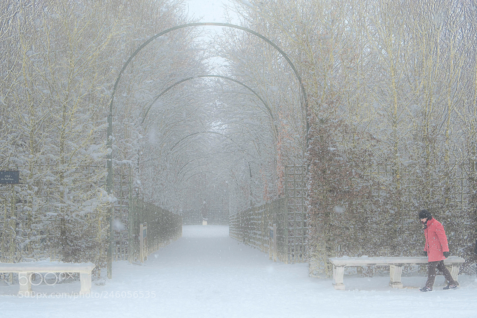 Fujifilm X-T20 sample photo. Snow storm photography