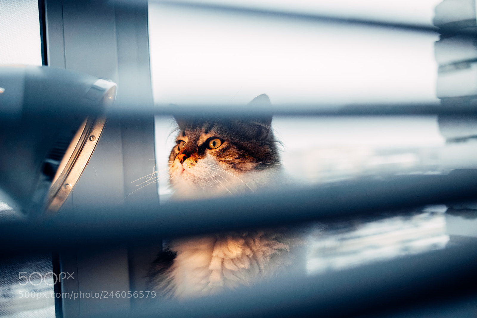 Nikon D610 sample photo. Дубна photography