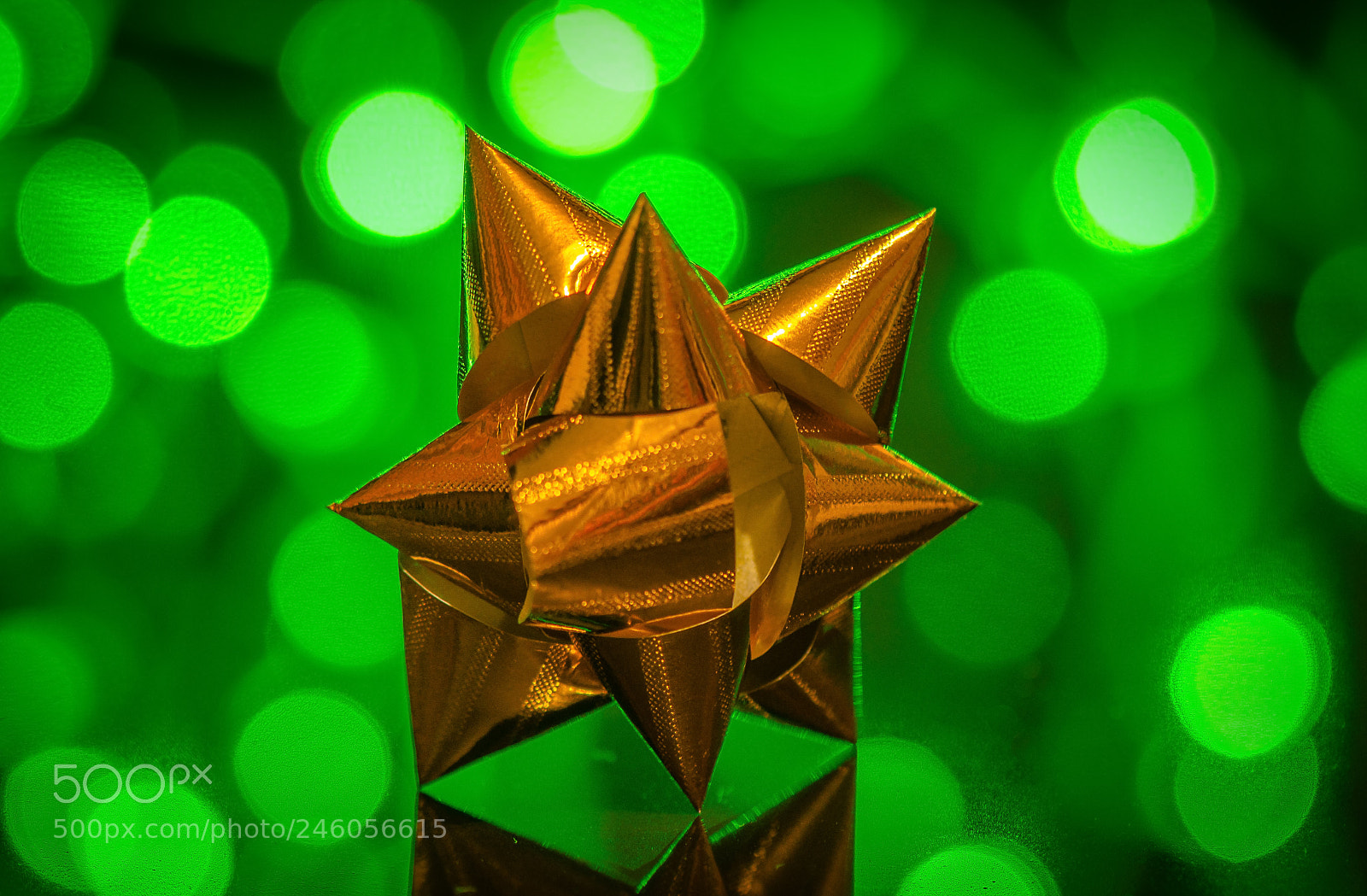Nikon D5100 sample photo. The star fell photography