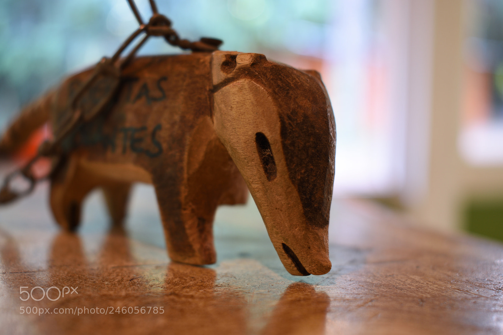 Nikon D3400 sample photo. Woody coatí photography