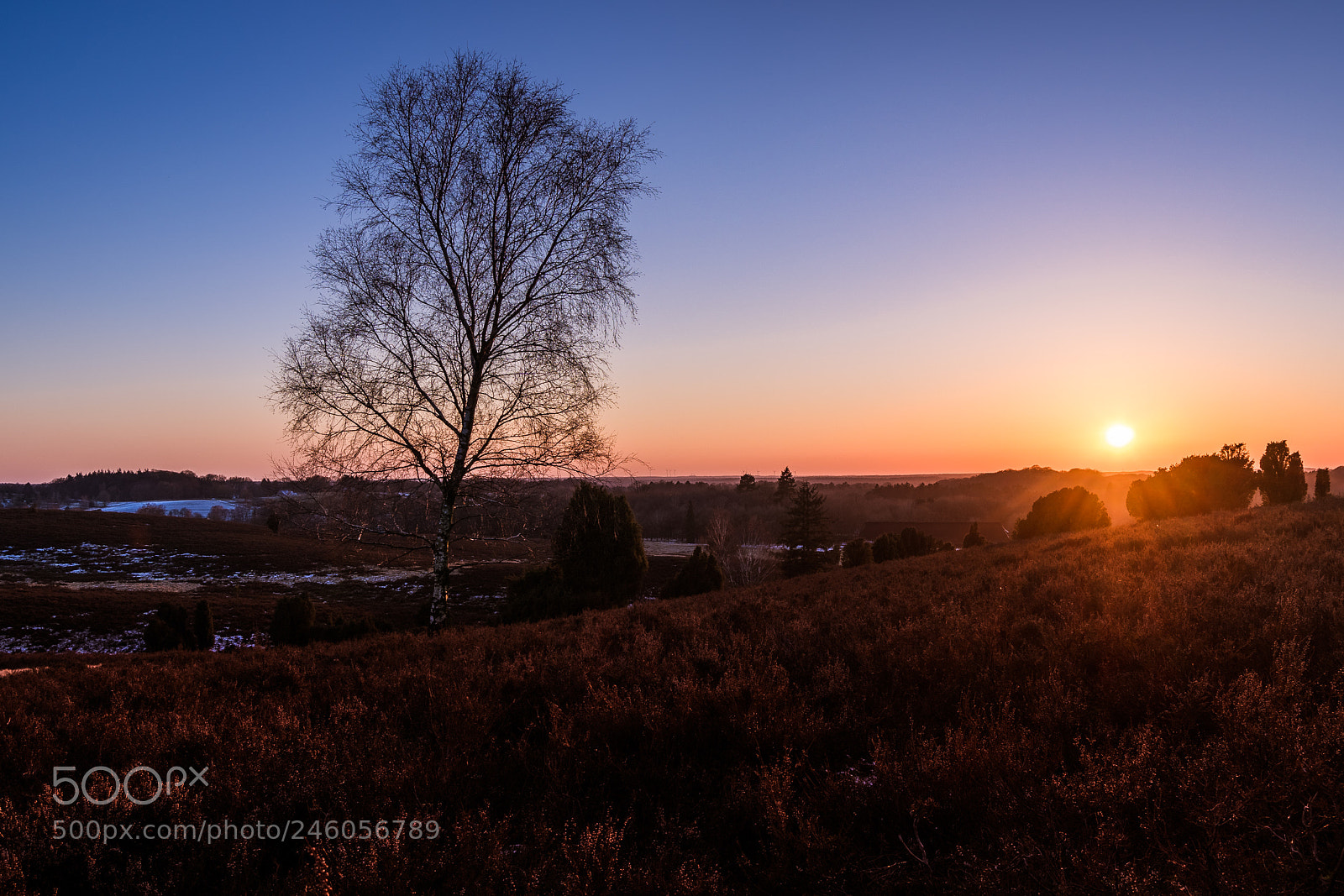 Sony a6300 sample photo. Sunset lüneburger heide photography