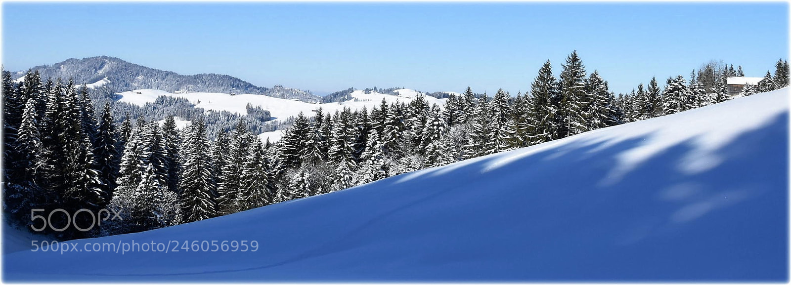 Nikon D7200 sample photo. "clear and cold" photography