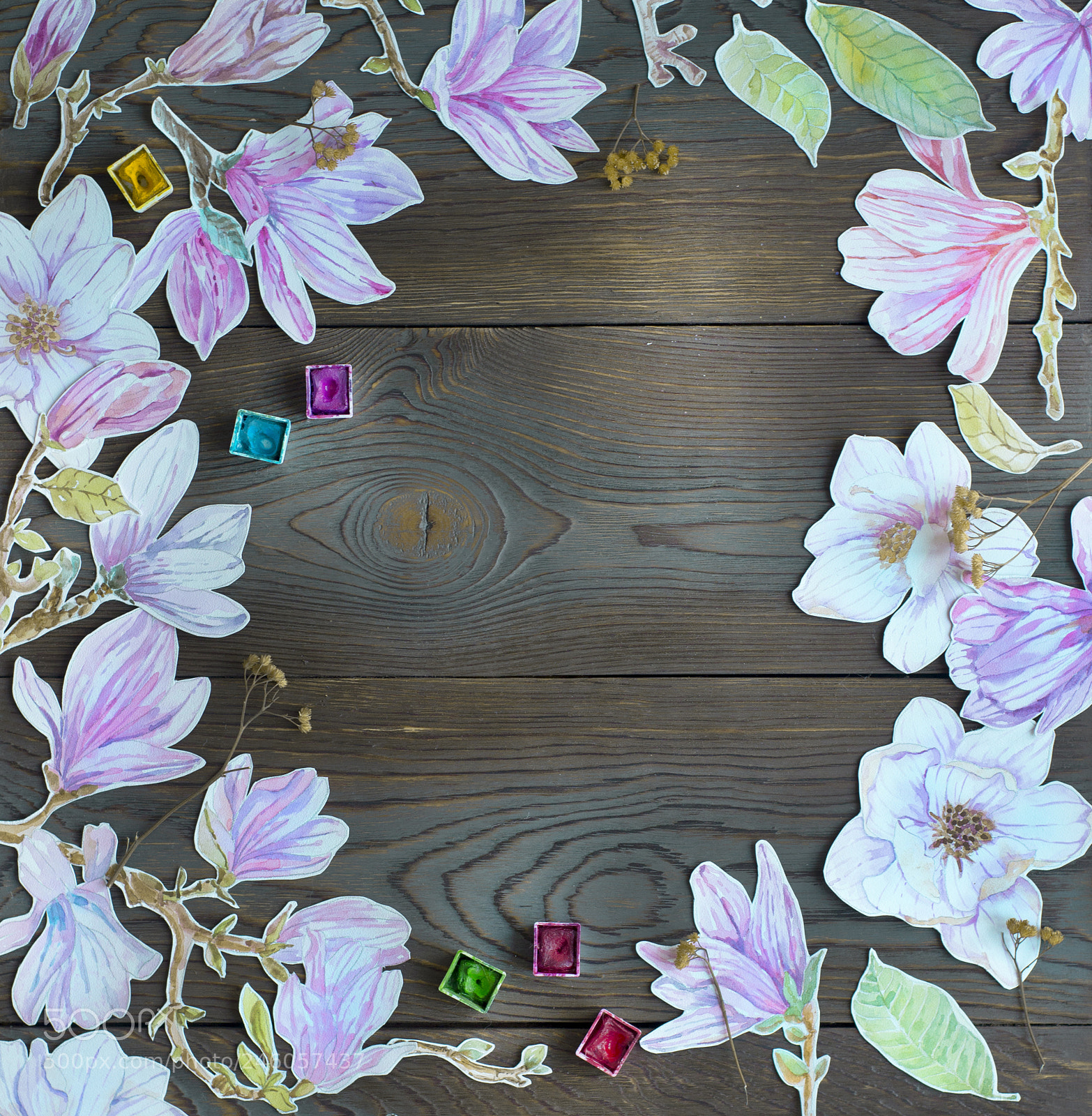 Nikon D610 sample photo. Frame watercolor magnolia flowers photography
