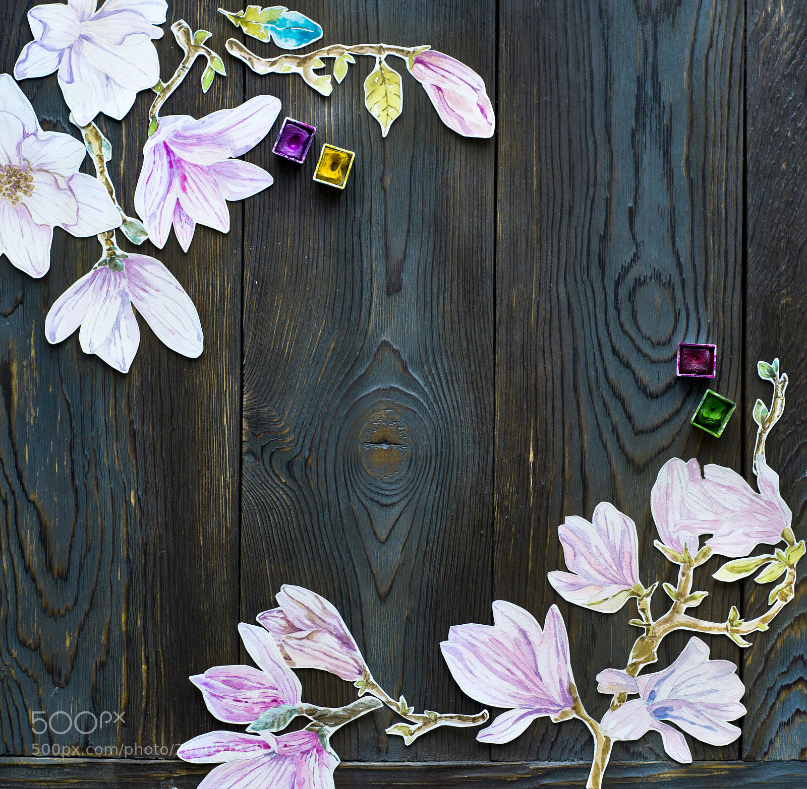Nikon D610 sample photo. Frame watercolor magnolia flowers photography