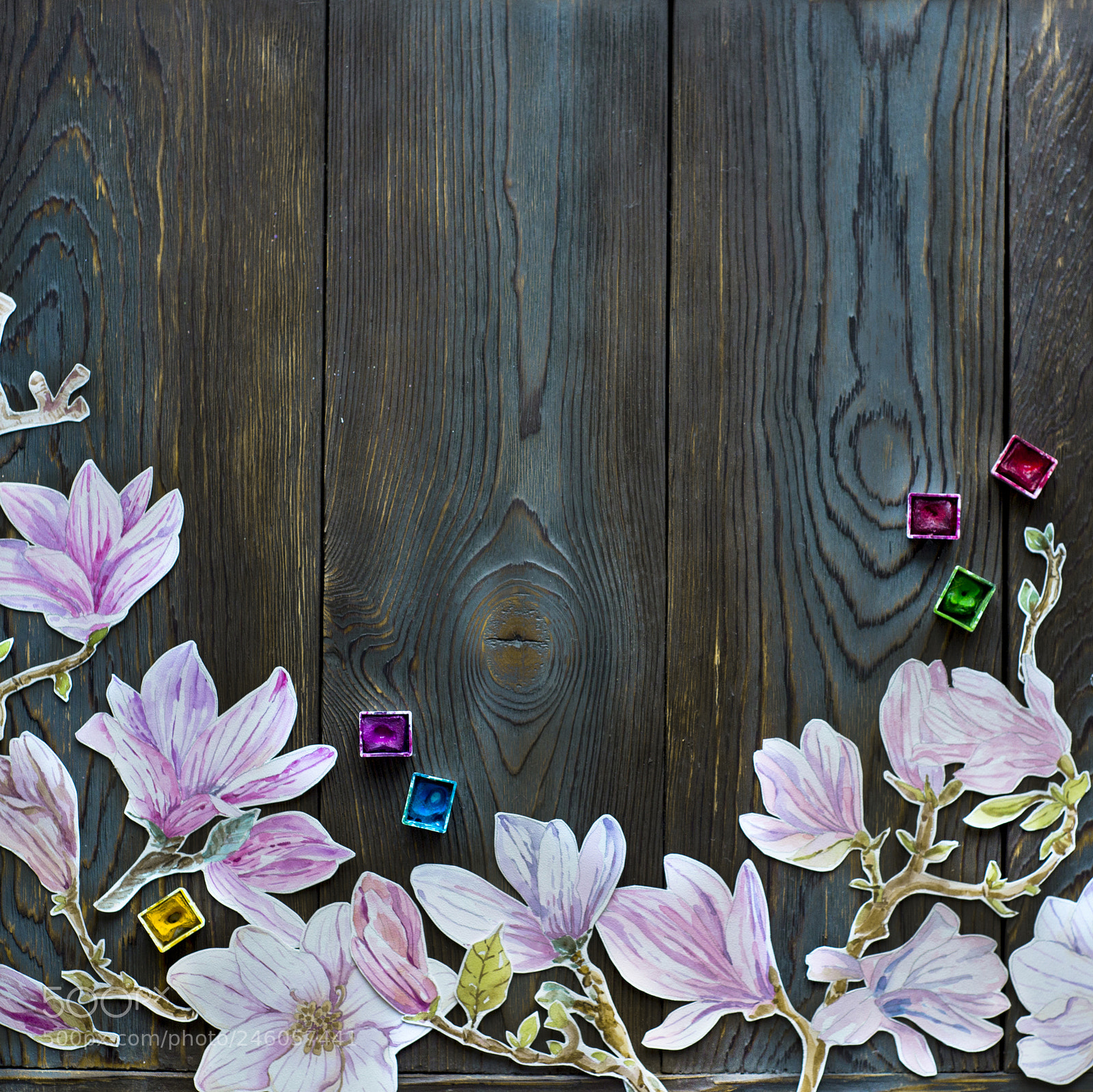 Nikon D610 sample photo. Frame watercolor magnolia flowers photography