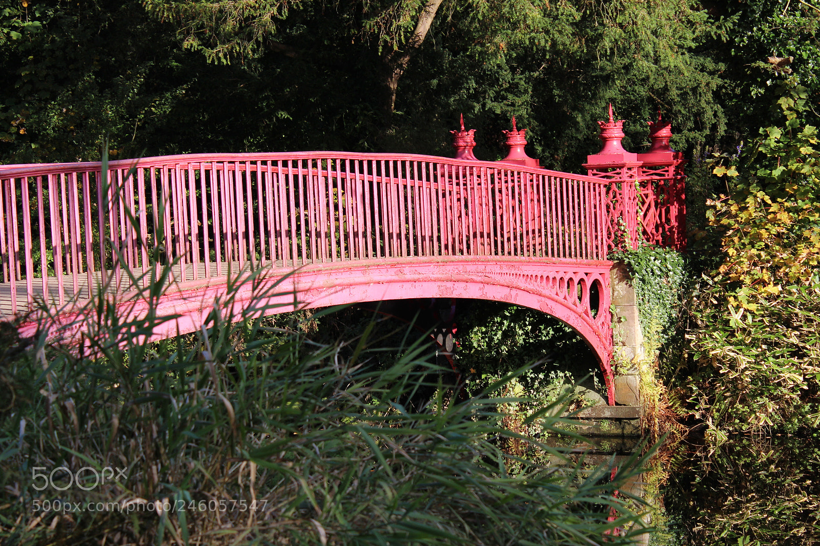 Canon EF-S 18-55mm F3.5-5.6 III sample photo. The red bridge photography