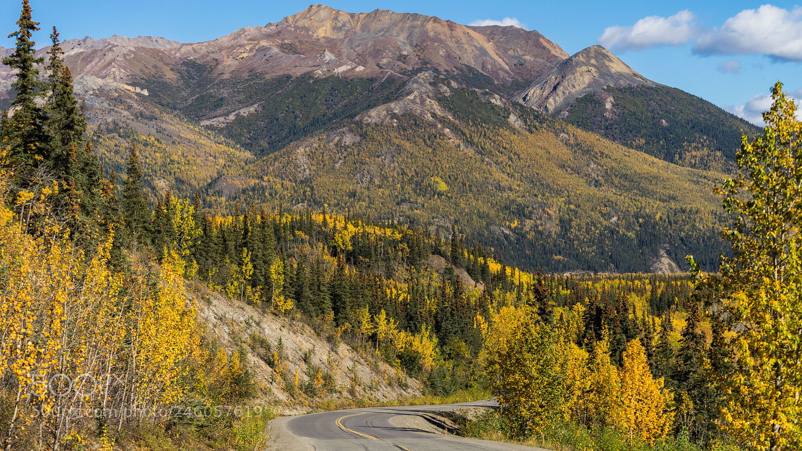 Sony a7 II sample photo. Denali national park photography