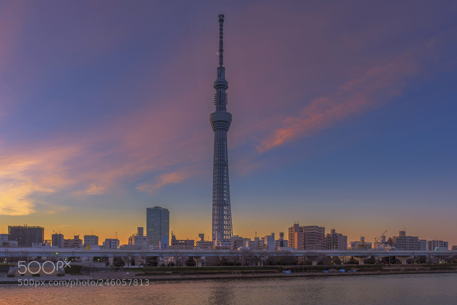 Nikon D7200 sample photo. View of tokyo skyline photography