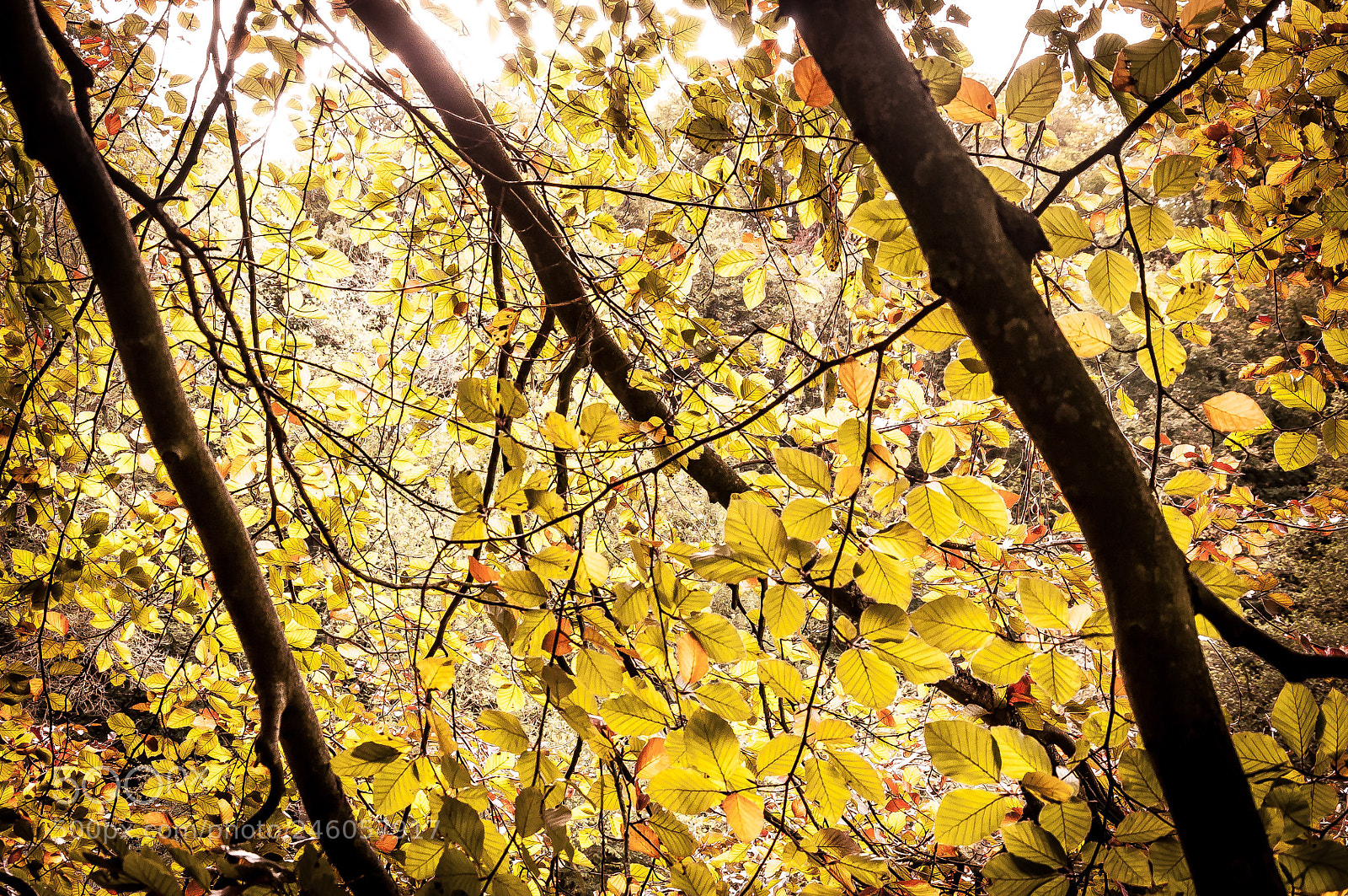 Nikon D5000 sample photo. Derbyshire photography