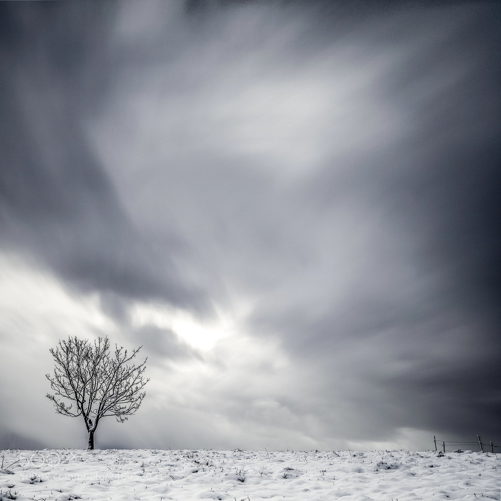 Nikon D810 sample photo. Alone tree photography