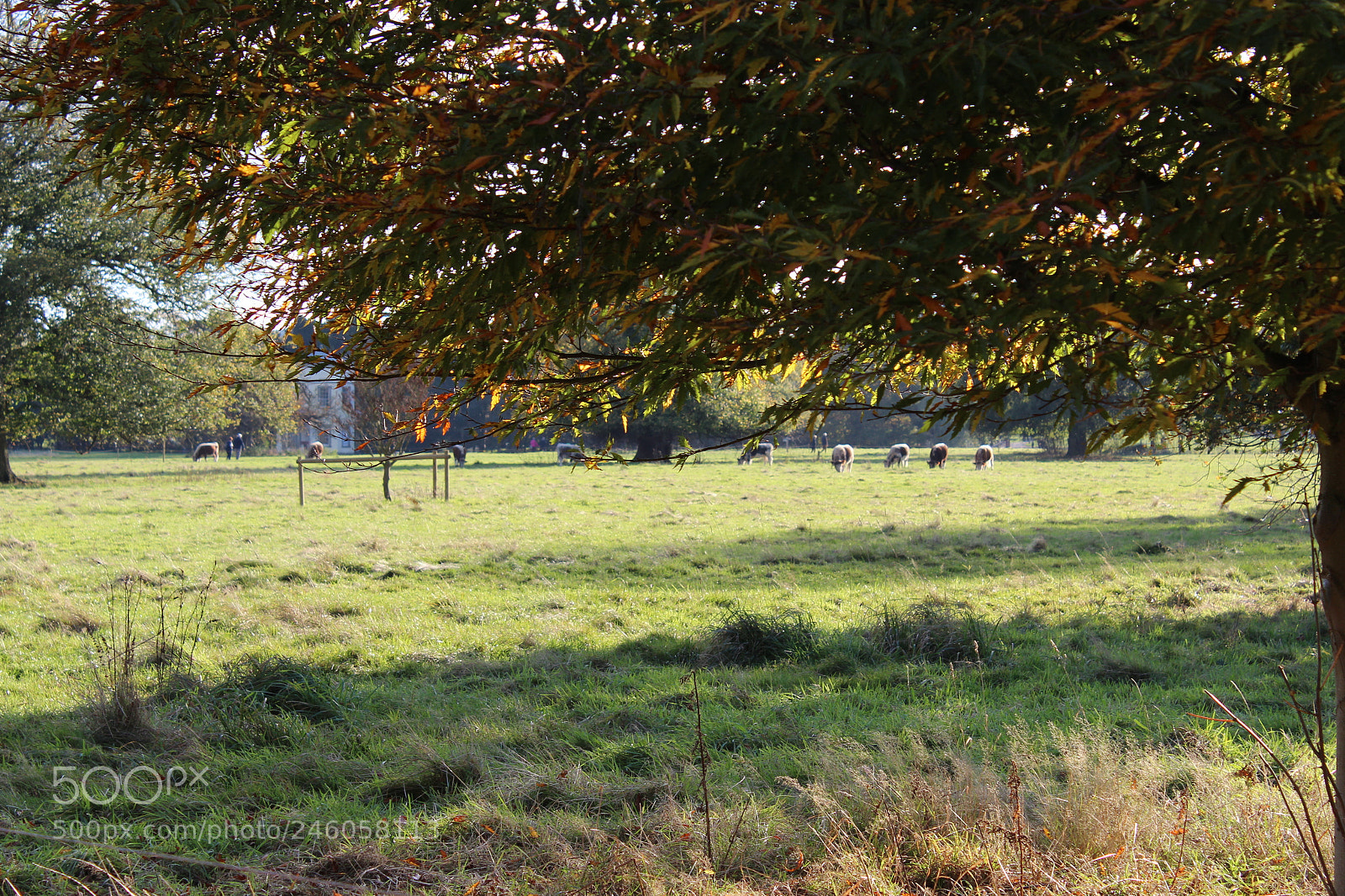 Canon EF-S 18-55mm F3.5-5.6 III sample photo. Country view photography