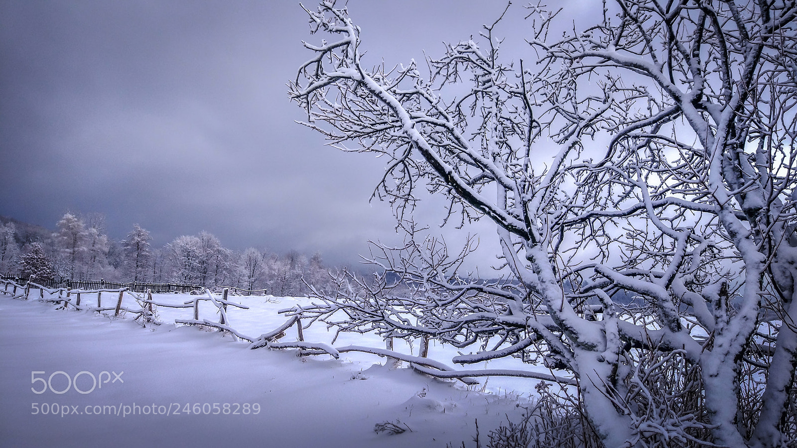 Xiaomi MI 5 sample photo. The land of ukraine photography