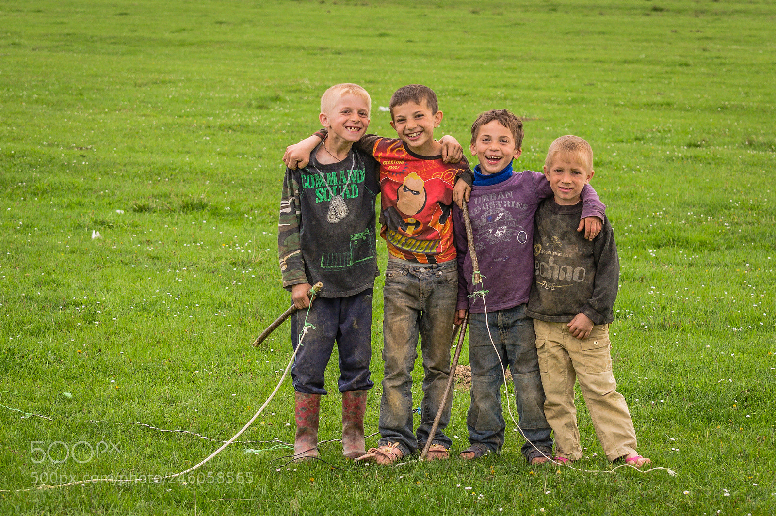 Nikon D5100 sample photo. Small shepherds photography