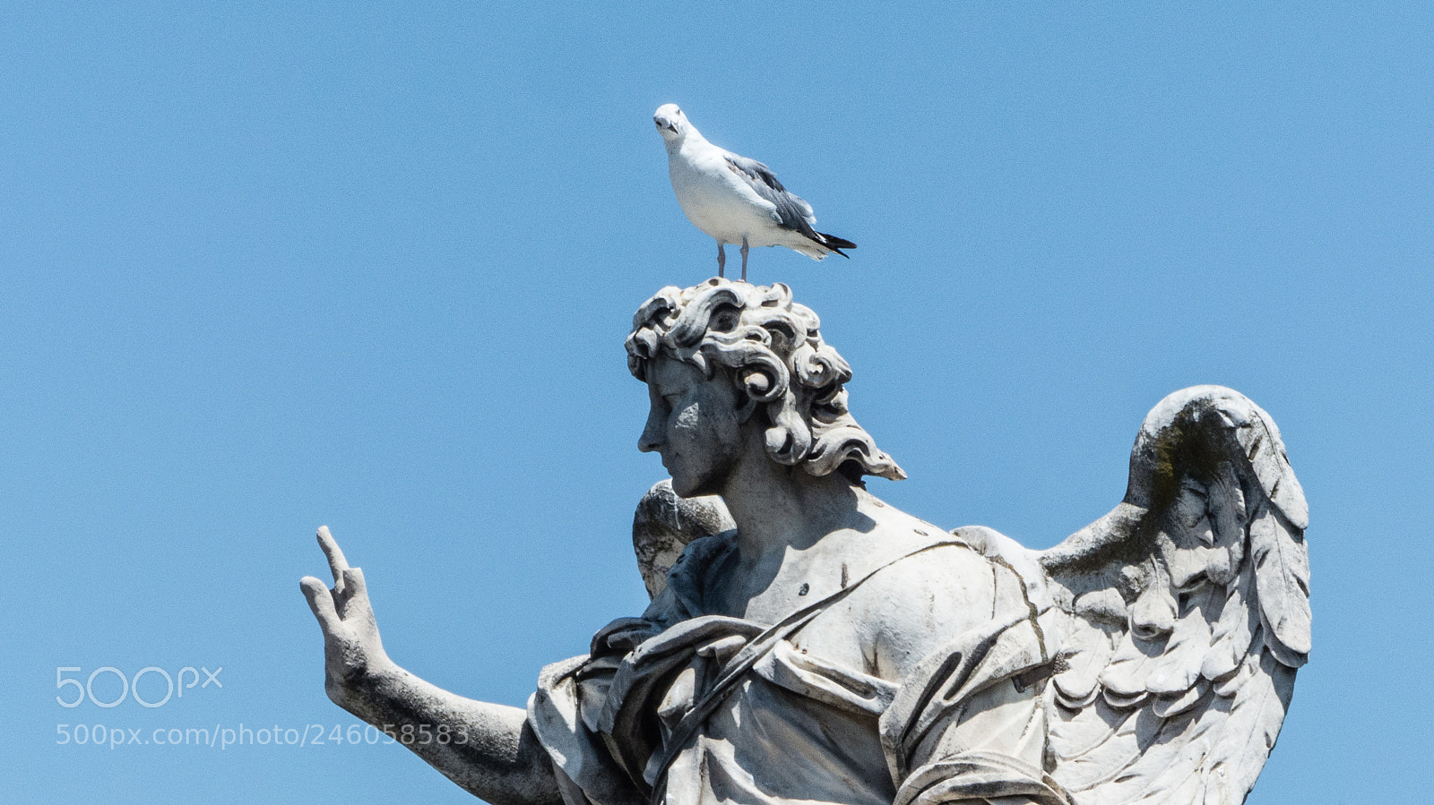 Panasonic Lumix DMC-FZ200 sample photo. Dove on stone photography