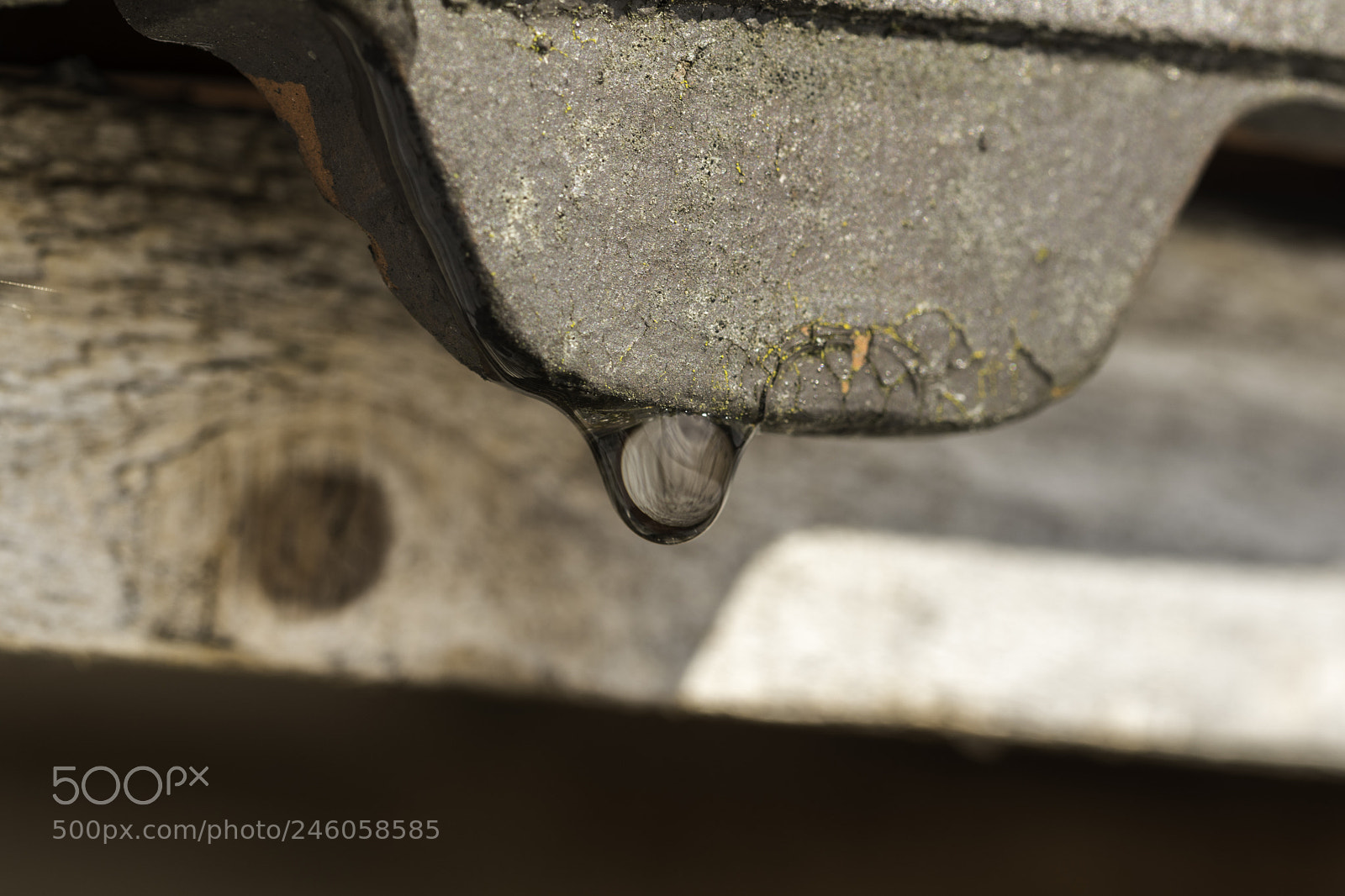 Nikon D5500 sample photo. Droplets photography