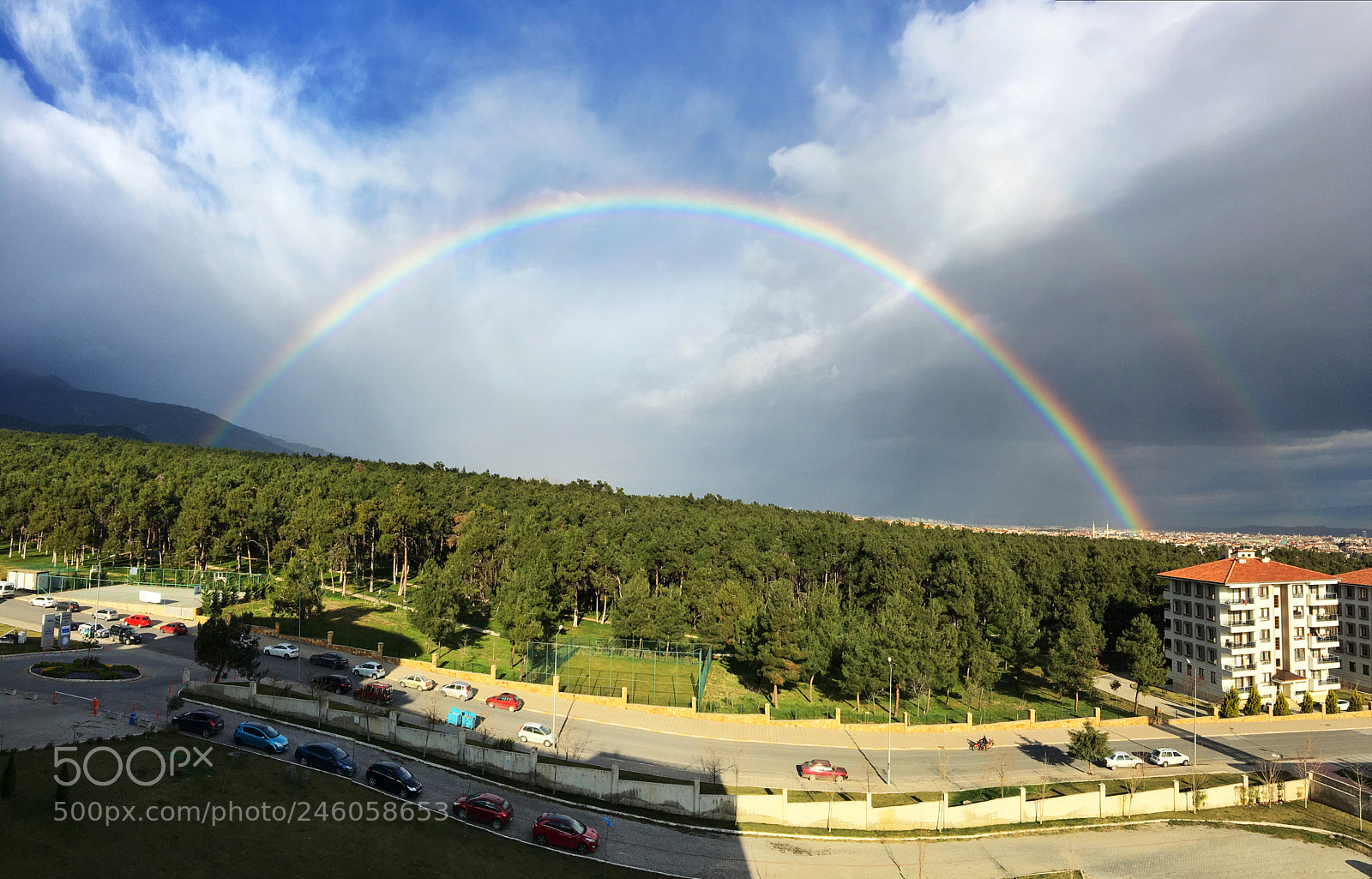 Apple iPhone 6s sample photo. Rainbow over forest photography