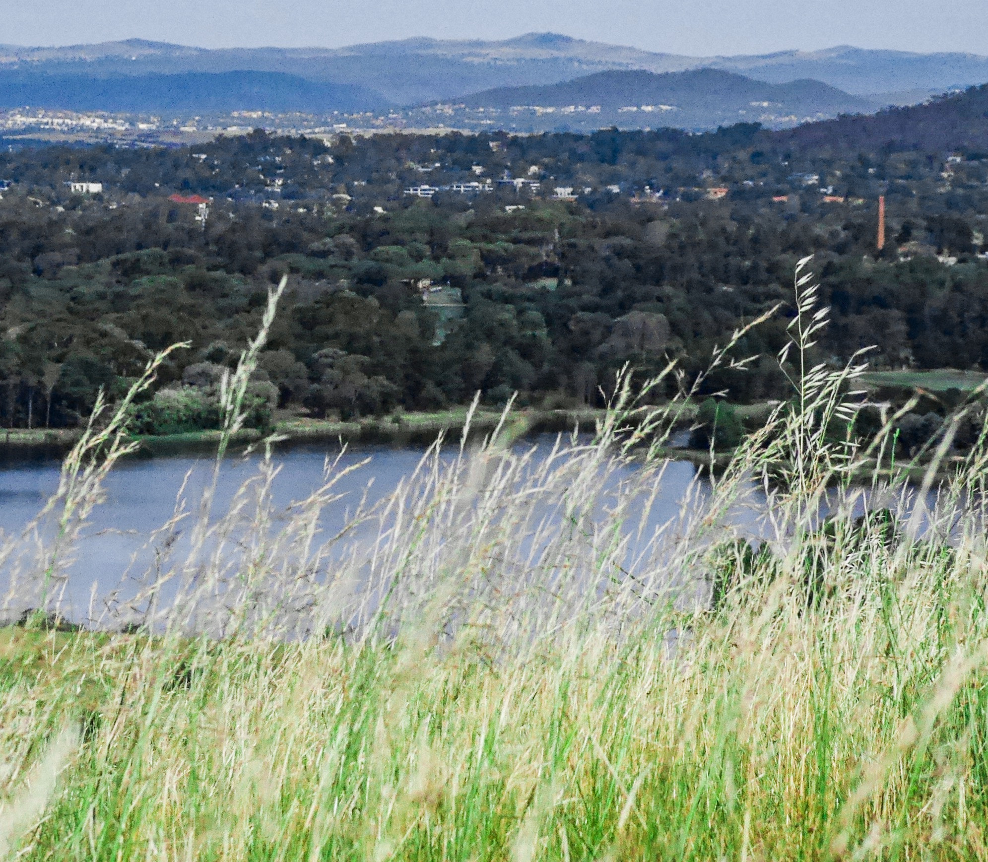 Panasonic DMC-GM1S sample photo. Layered view - national arboretum canberra, australia photography