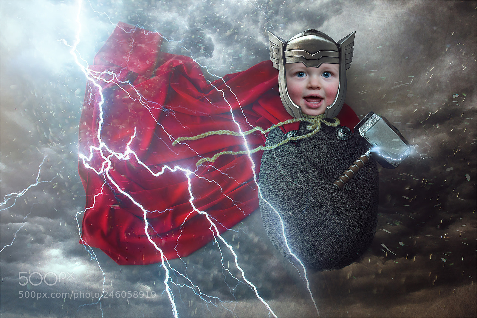 Nikon D800 sample photo. Thor - finlay photography