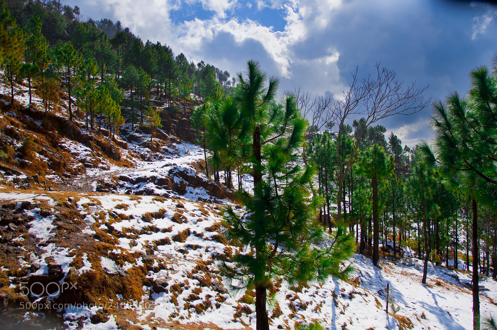 Nikon D90 sample photo. Landscape covered in snow photography