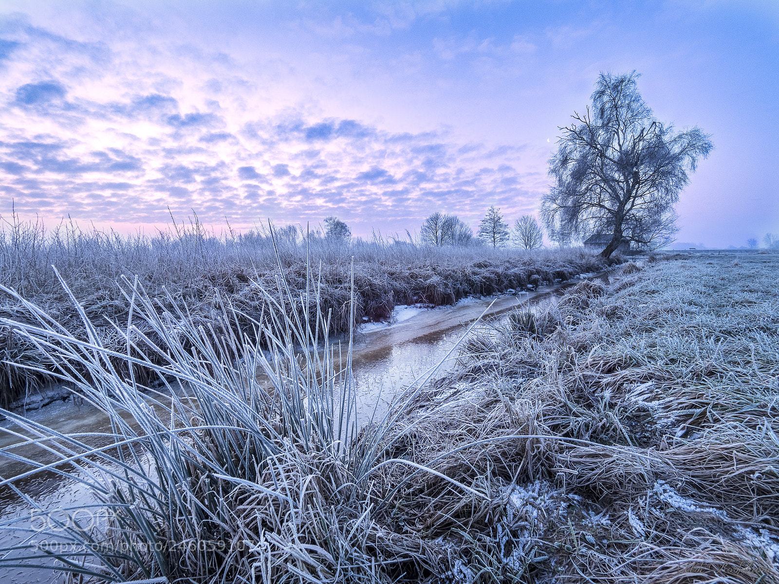 Olympus OM-D E-M1 Mark II sample photo. Frozen morning iii photography