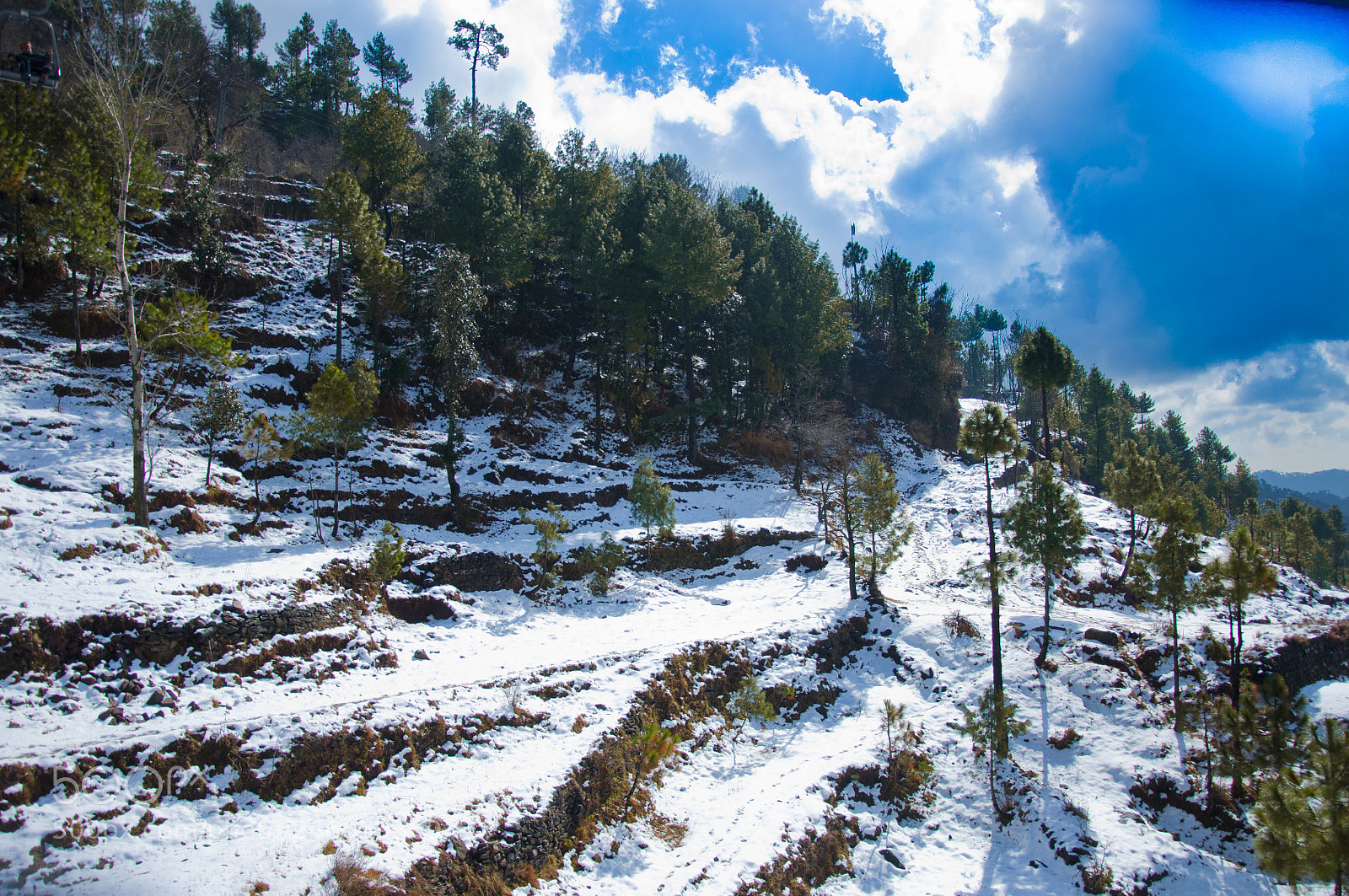 Nikon D90 sample photo. Landscape covered in snow photography