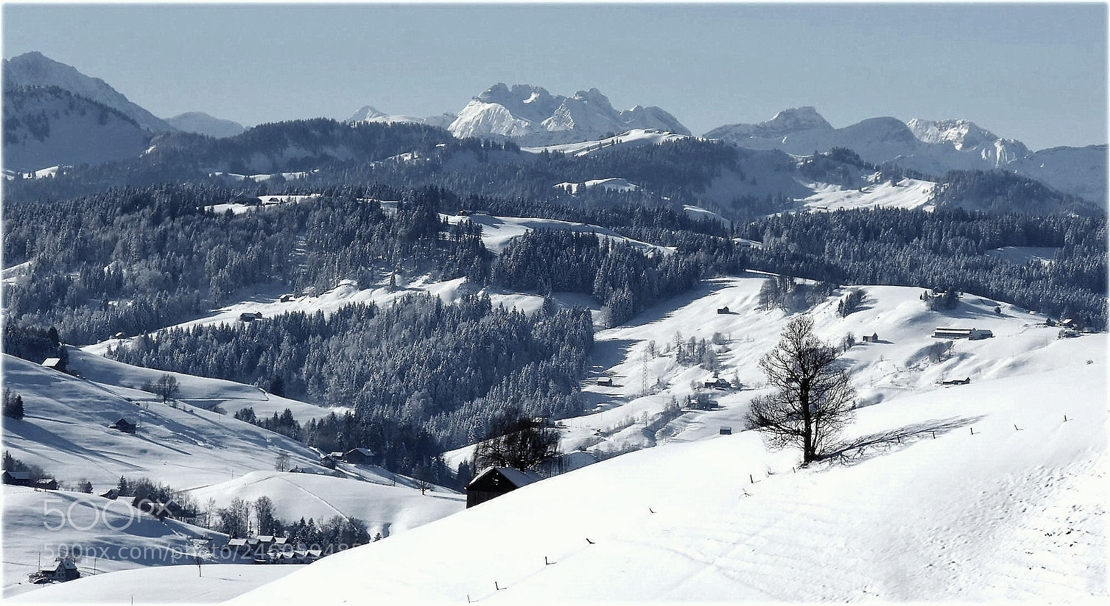 Nikon D7200 sample photo. "snow;forrests and montains" photography