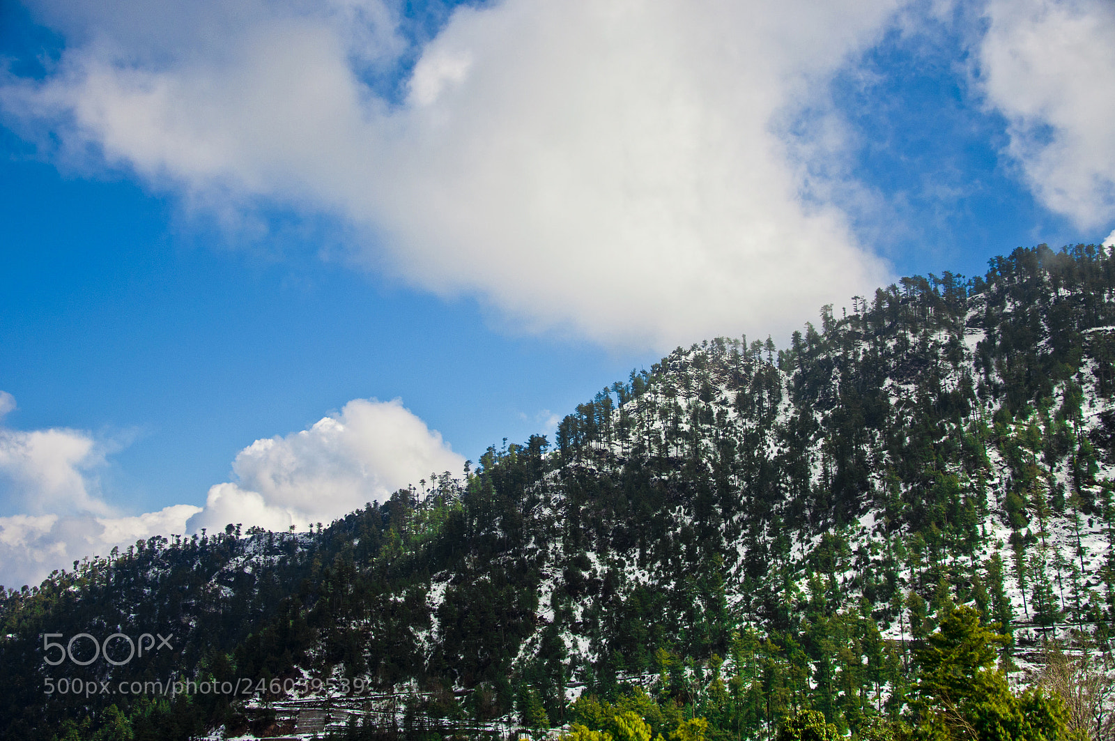Nikon D90 sample photo. Landscape covered in snow photography