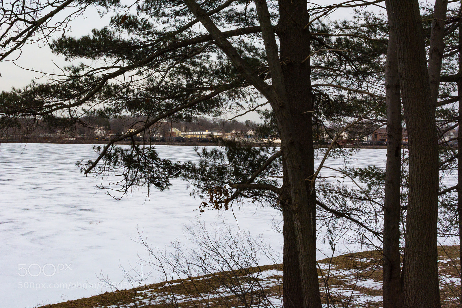 Nikon D7100 sample photo. Beyond the trees the photography