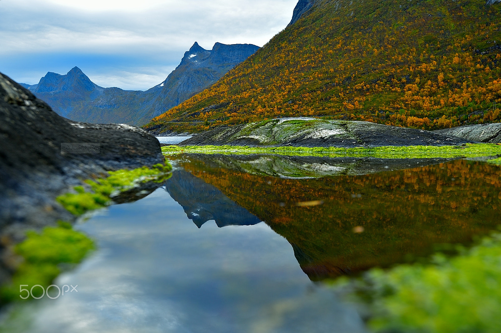 Nikon D700 + Nikon AF-S Nikkor 17-35mm F2.8D ED-IF sample photo. Autumn... photography