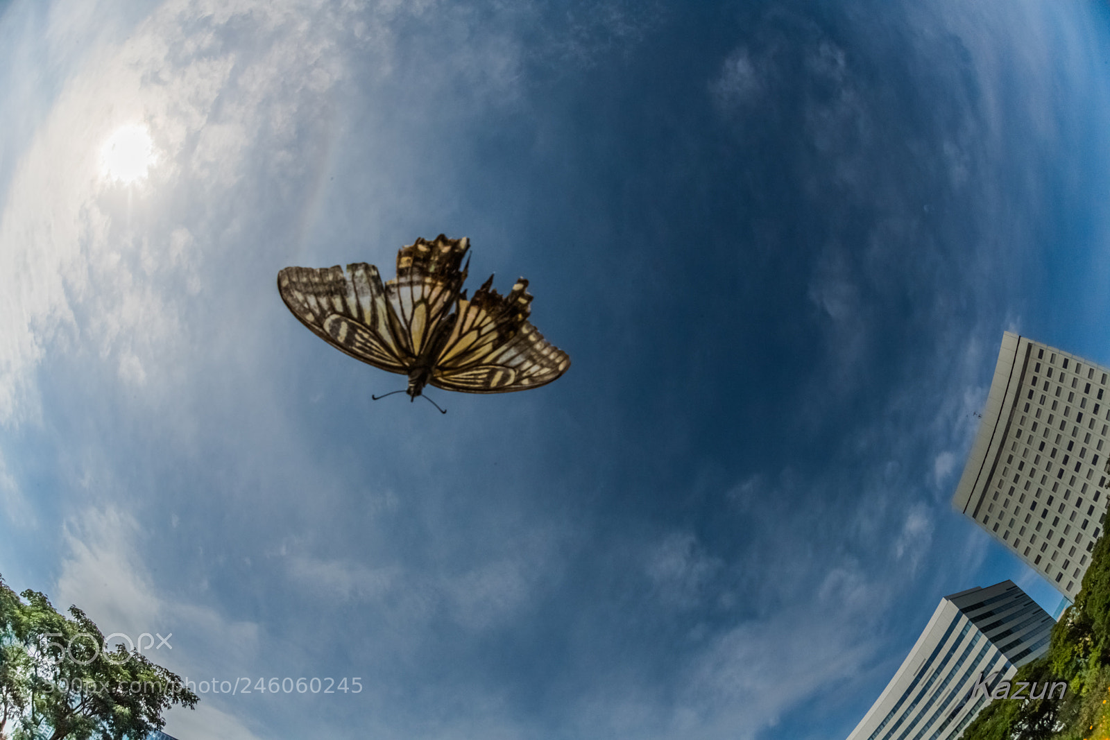 Nikon D5 sample photo. Get　air drive! photography