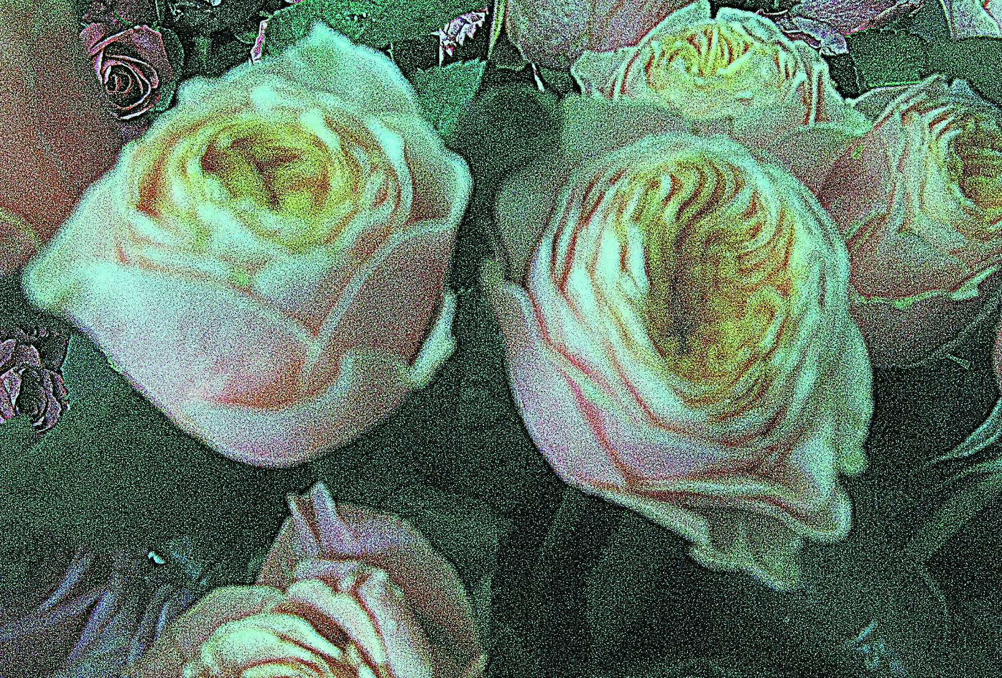 Canon POWERSHOT G7 sample photo. Copia photography