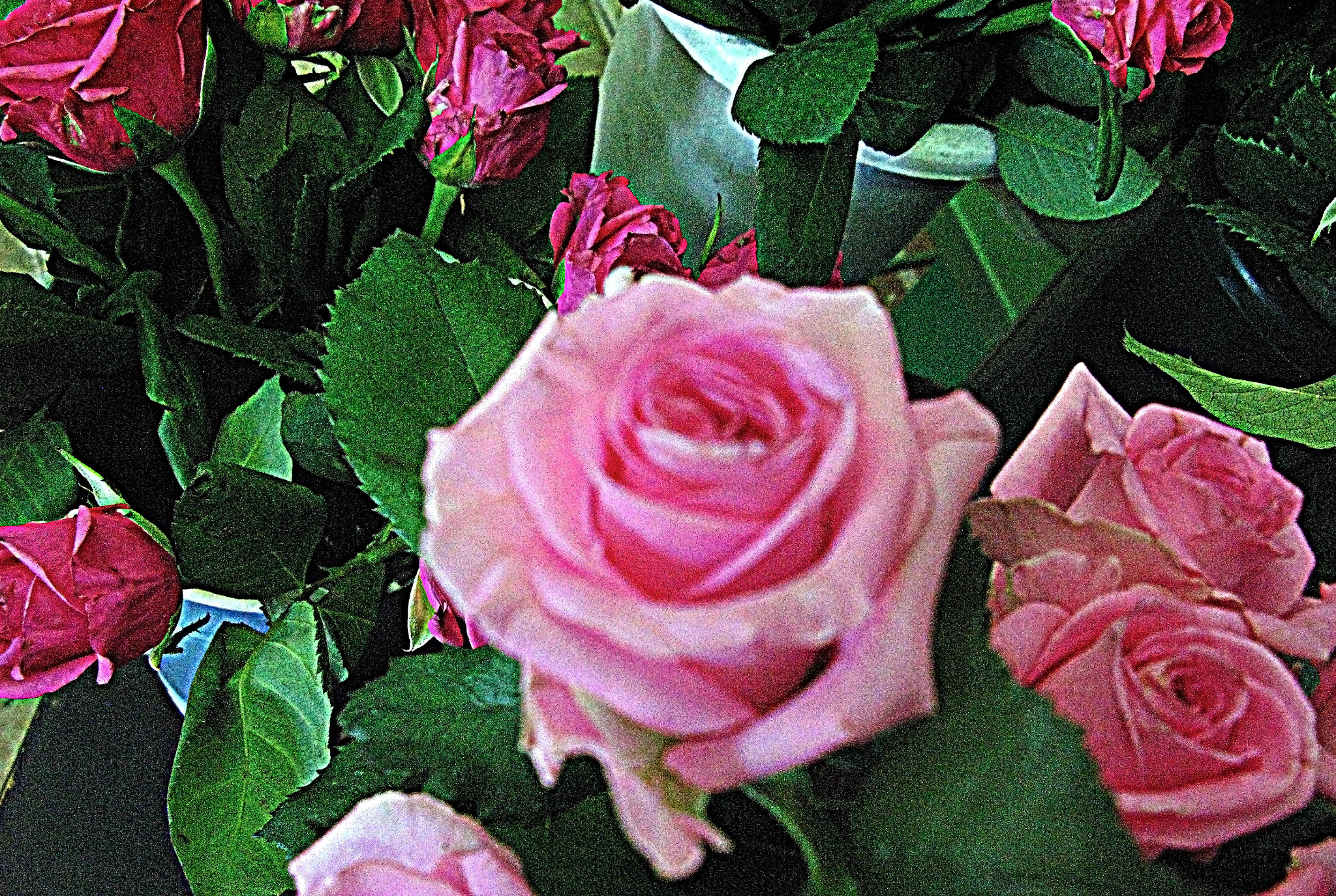 Canon POWERSHOT G7 sample photo. Copia photography