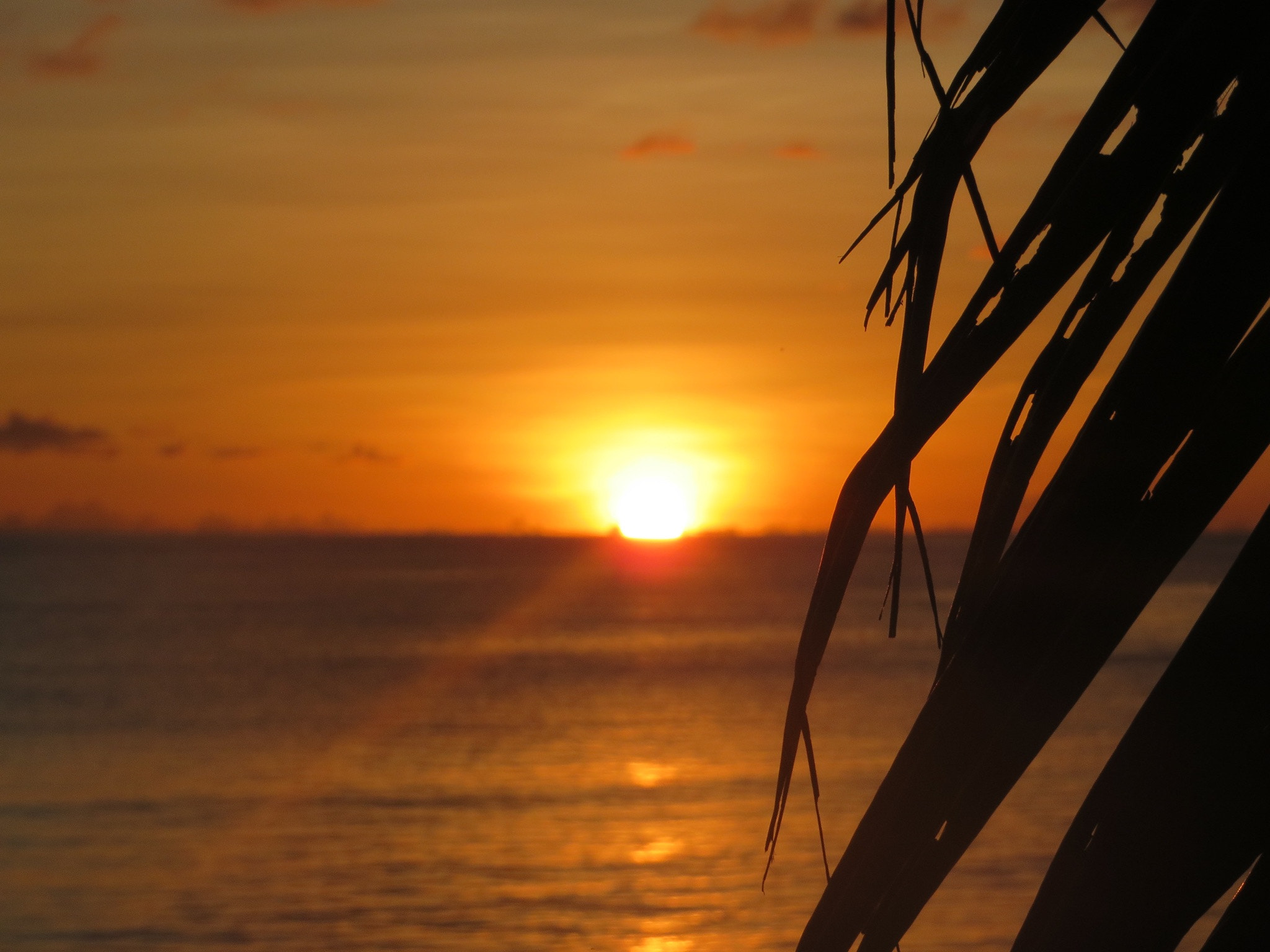 Canon PowerShot SX280 HS sample photo. Sonnenuntergang fiji photography
