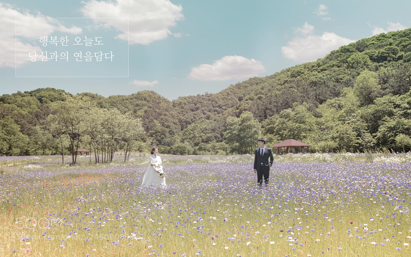 Canon EOS 5DS R sample photo. 연을담다 웨딩화보 wedding pictorial photography