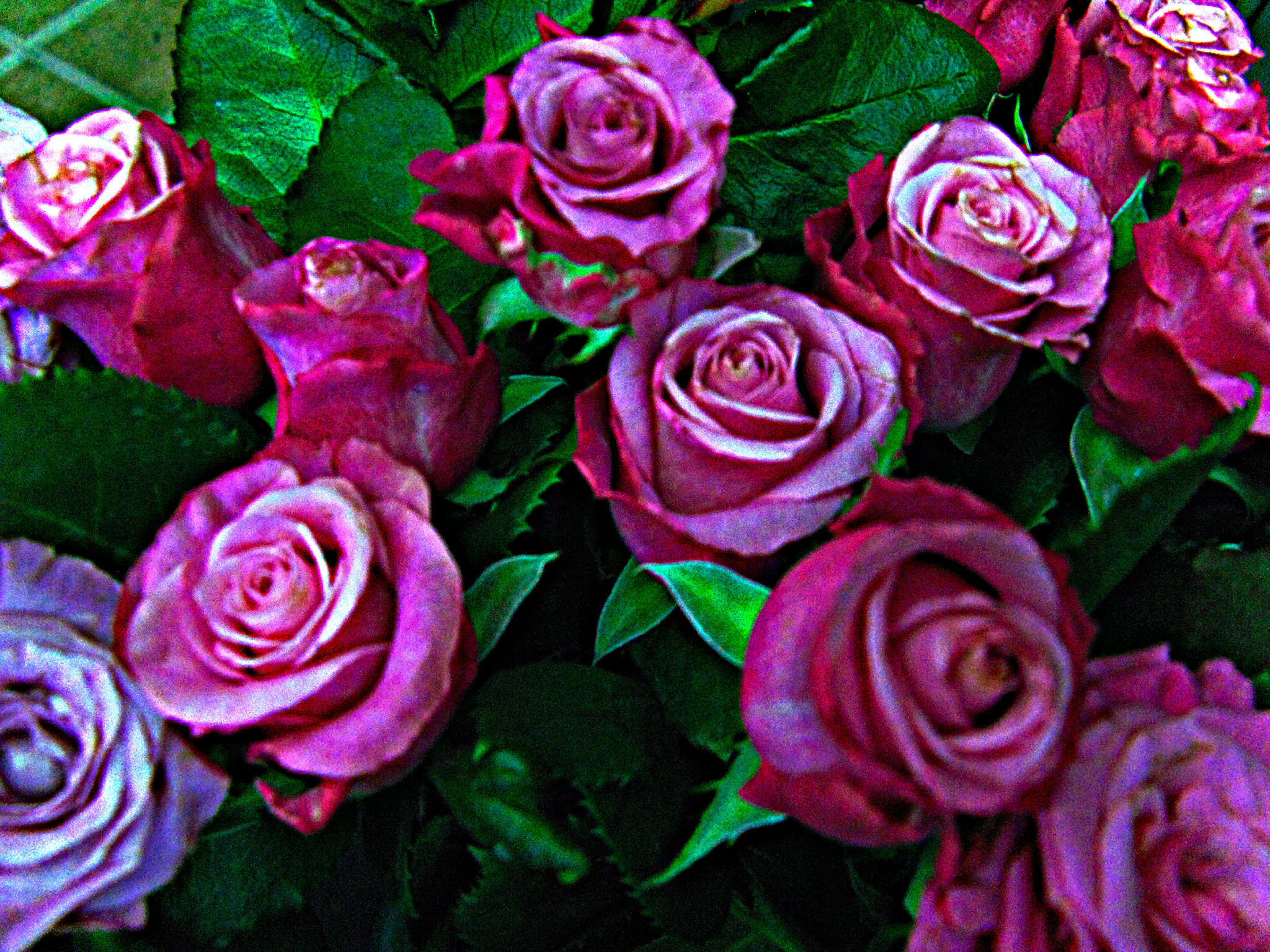 Canon POWERSHOT G7 sample photo. Copia photography