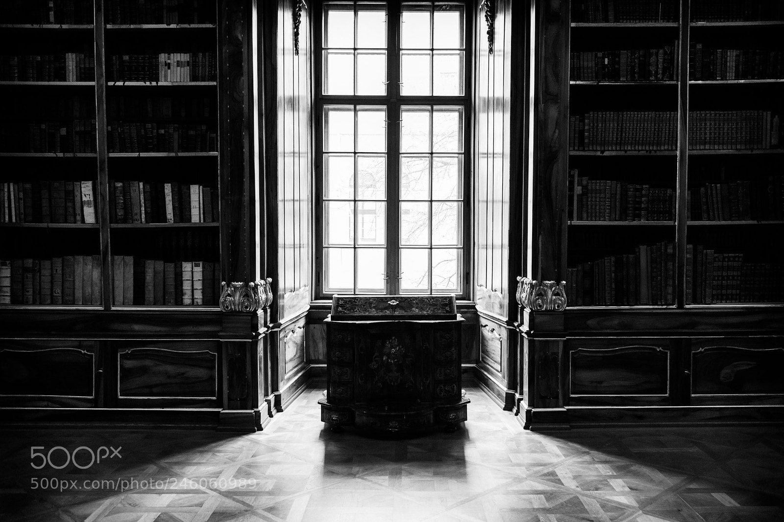 Nikon D600 sample photo. Library photography