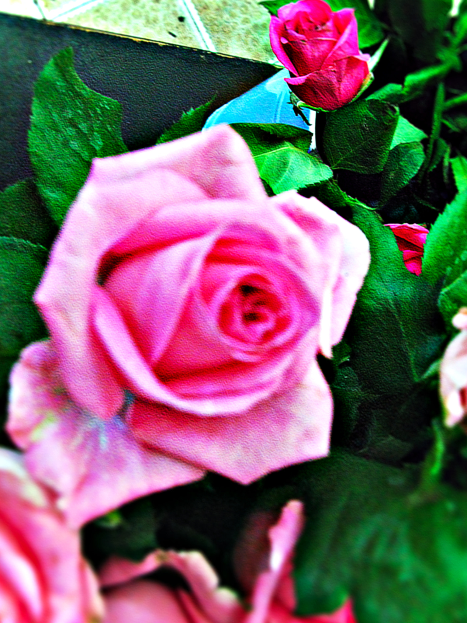 Canon POWERSHOT G7 sample photo. Copia photography