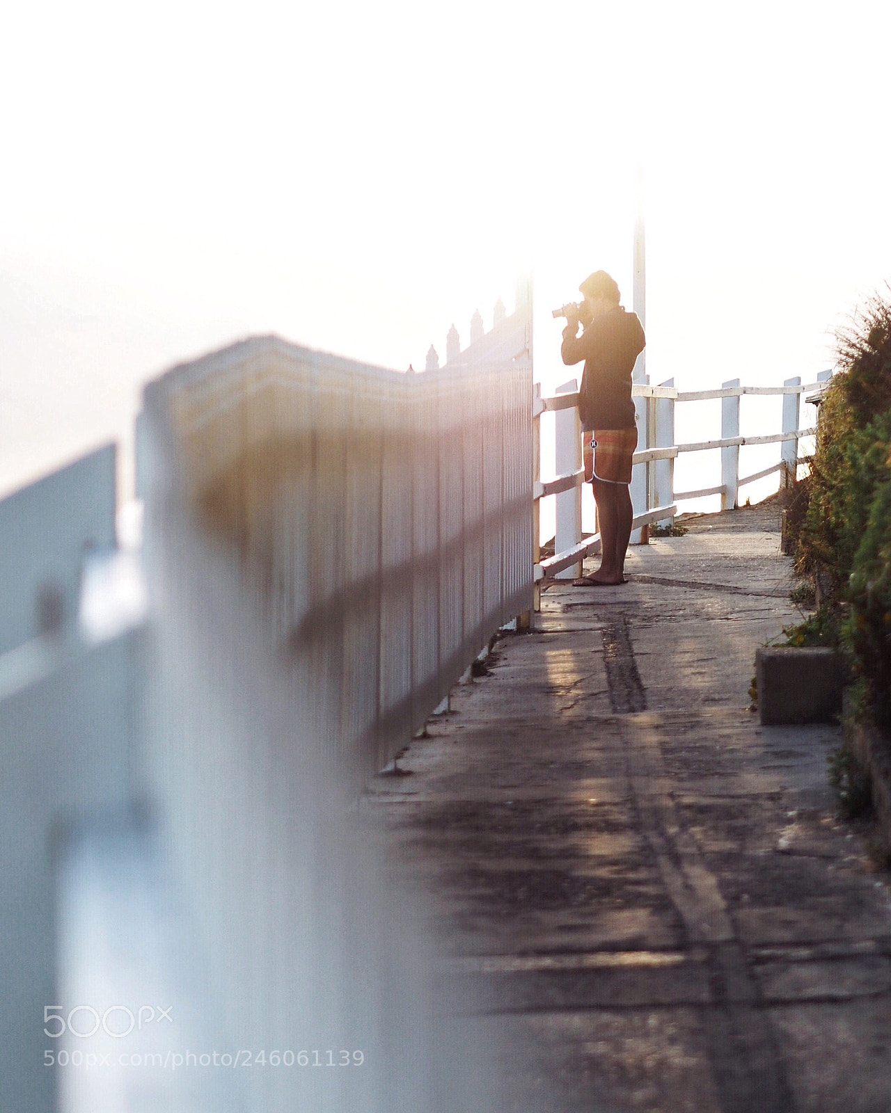 Olympus OM-D E-M5 II sample photo. Can t beat a photography